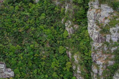 Mükemmel yeşil ve yoğun tropik yağmur ormanı. Güneşli bir günde Arial görünümü arka plan.