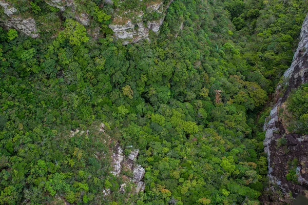 Mükemmel yeşil ve yoğun tropik yağmur ormanı. Güneşli bir günde Arial görünümü arka plan.