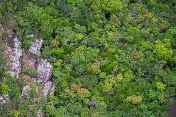 Mükemmel yeşil ve yoğun tropik yağmur ormanı. Güneşli bir günde Arial görünümü arka plan.