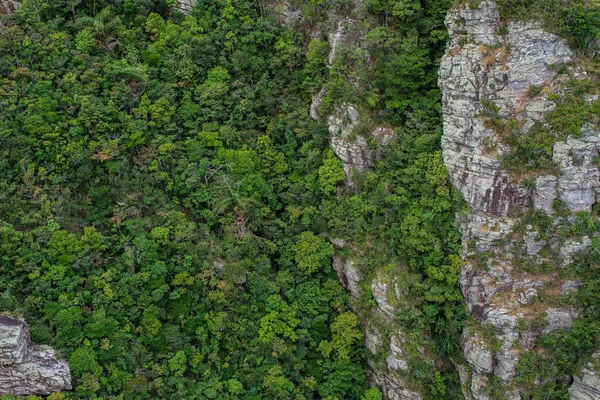 Mükemmel yeşil ve yoğun tropik yağmur ormanı. Güneşli bir günde Arial görünümü arka plan.