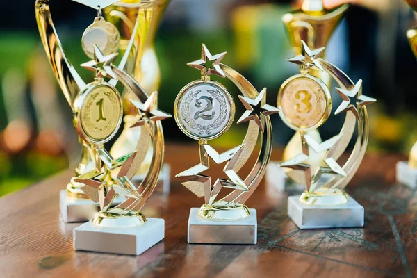 Trophy awards in a shape of a star and medal for champion leadership in tournament. Golden, silver and bronze on the table