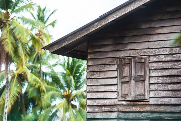 Starý Opuštěný Dřevěný Dům Oknem Zavřené Kokosových Palem Poza — Stock fotografie