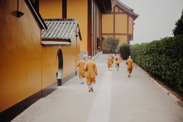 Hét Szerzetesek Séta Lufeng Templomban Köd Shaoxing Kínában Háttér Narancssárga — Stock Fotó