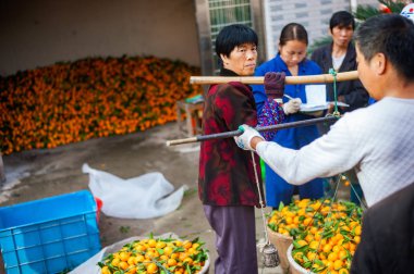 Shaoxing, Çin - 06 Kasım 2012: Çin birinci sınıf üniversite öğrencileri okulda hala askeri eğitim sırasında oturuyor. arkadan görüntülemek
