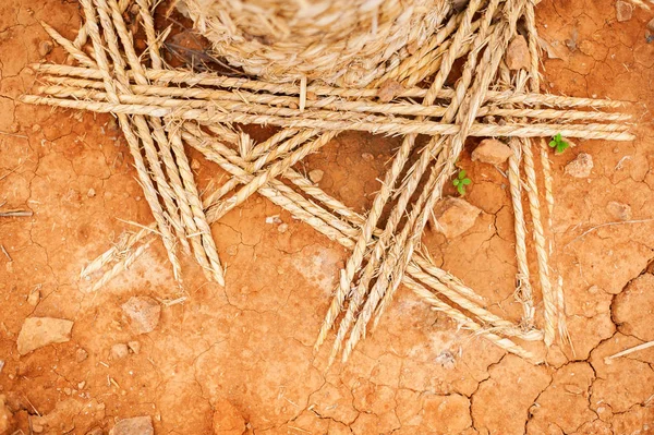 Tronco Albero Avvolto Con Corda Protezione Terra Rossa — Foto Stock