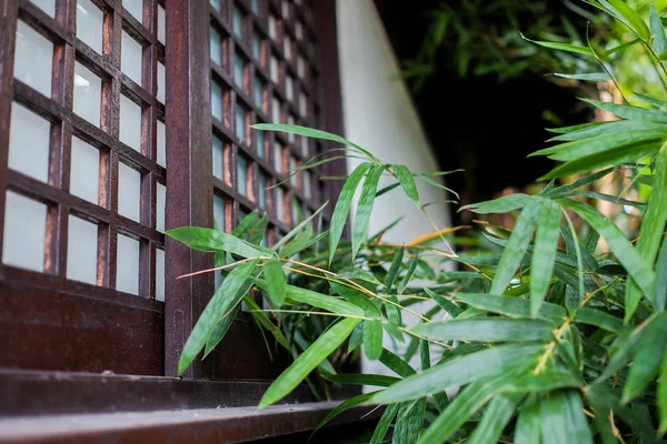 Klassisches japanisches Haus mit Bambusblättern. Nahaufnahme — Stockfoto
