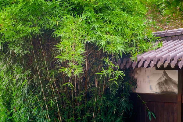 Telhas japonesas antigas com folhas de bambu — Fotografia de Stock