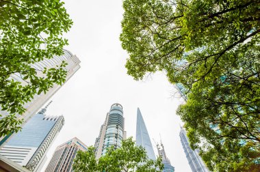 Birçok gökdelenler ve ağaçlar ile Pudong alan silueti