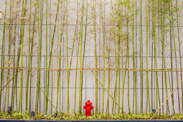 Troncos de bambú contra la pared de hormigón —  Fotos de Stock