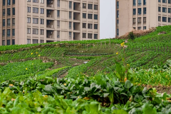 Zonas residenciales de gran altura con vistas rurales — Foto de Stock