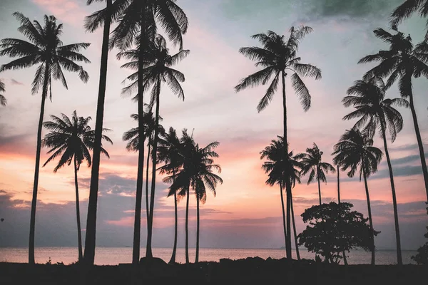 Svarta palmer silhuetter vid orange solnedgång himmel — Stockfoto