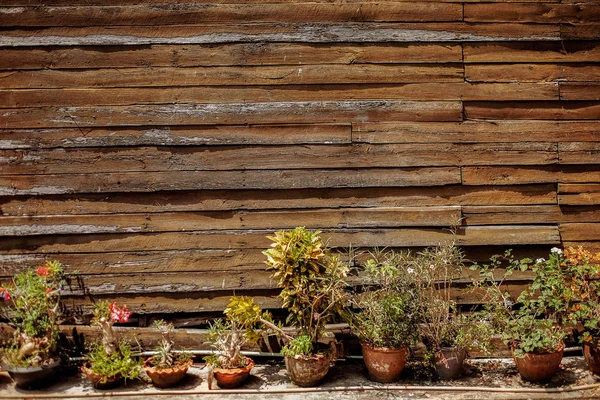 Oude houten muur met bruine tegels en bloem — Stockfoto