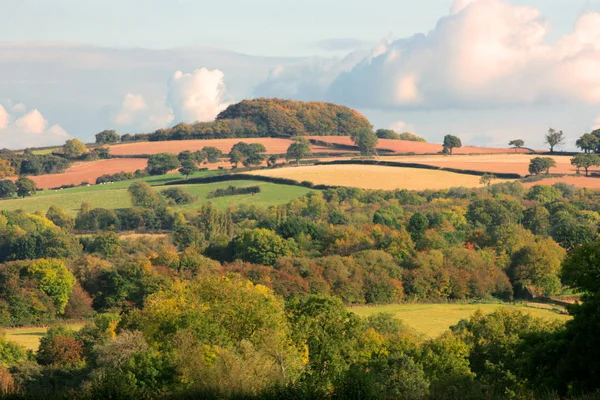 晴れた日の農村の田園風景 森とフィールドの丘からの眺め ドーバー ケント イングランド南東部 — ストック写真