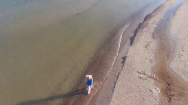 Mavi elbiseli bir sarışın uçan drone gelen üst görünümü havadan çekim, sabahın erken saatlerinde, Baltık Denizi sahilinde su üzerinde yürüyor. Güneşli bir gün. Uzun gölgeler.