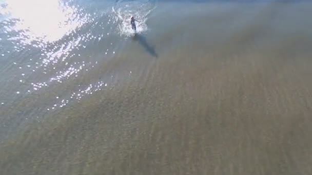 Tir depuis le haut du drone, où la blonde en bikini blanc court le long de l'eau sur le bord de la mer tôt le matin. De longues ombres. Pas de son .