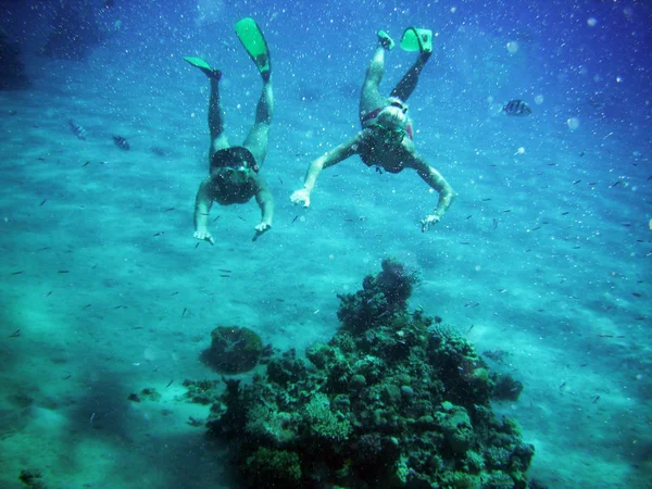 Quelques plongeurs sous l'eau parmi les coraux — Photo