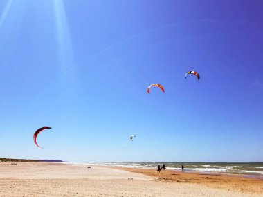 Baltık Denizi 'nin dalgalarında sörf yapan üç uçurtma sporcusu. uçurtma sörfü