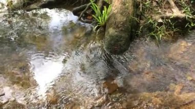 Akan dere su arka plan doğa