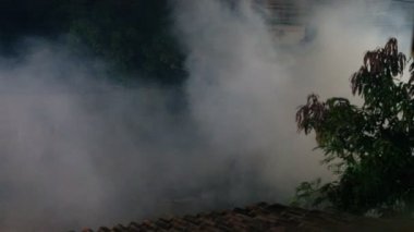 Duman hava arka plan ve Dang humması kavramı önlenmesi