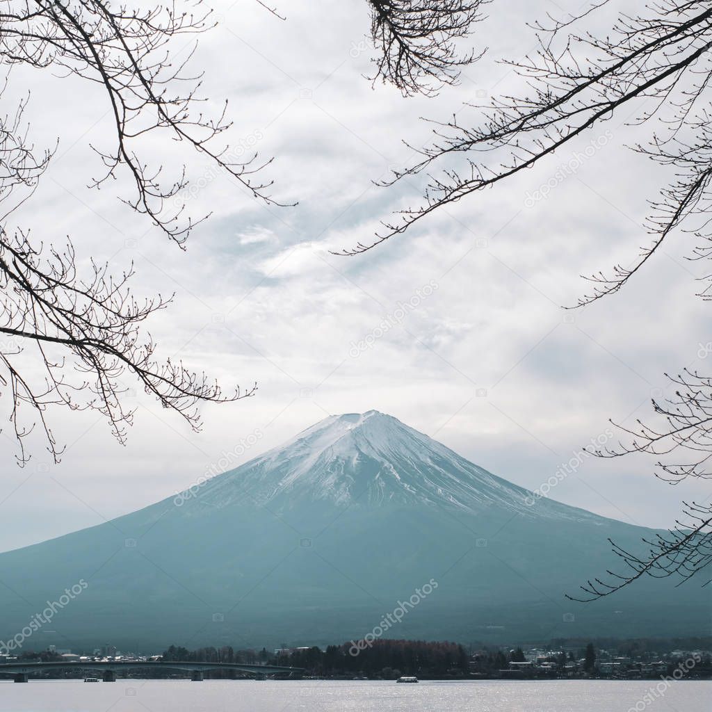 Fuji mountain in autumn background