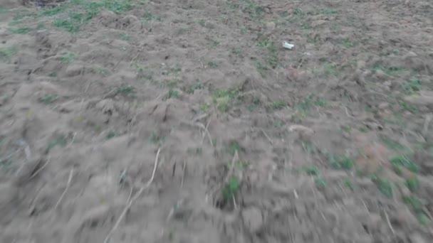 High Speed Backward Dry Ground View Preparation New Plantation — Stock Video