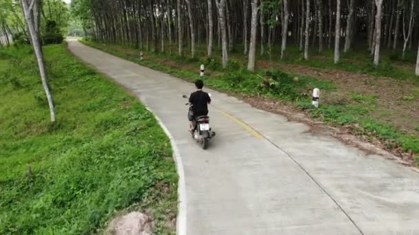 Vista Aérea Joven Conduciendo Motocicleta Camino Hormigón Entre Plantación Árboles — Vídeos de Stock