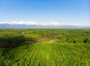 Yeşillik arka plan üzerinde havadan görünüm. Yaz sezonunda güzel manzara manzara