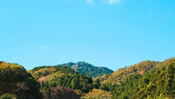 Montagne Colorée Fond Saison Automne Japon — Photo
