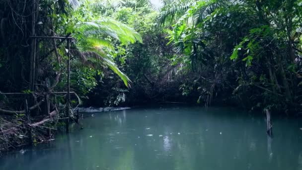 Cena Tranquila Belo Canal Fundo Natureza — Vídeo de Stock