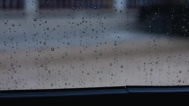 梅雨時のフロントガラスの背景に雨滴 — ストック動画