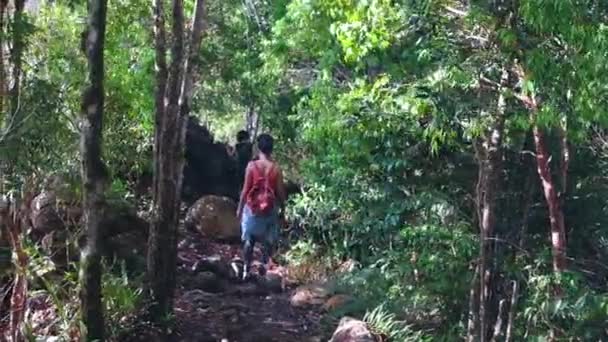 Zwei Teenie Mädchen Bei Starkem Wind Wald Unterwegs — Stockvideo