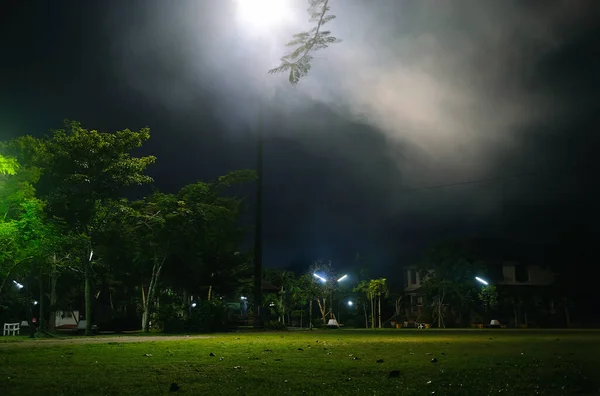 Publiczny Park Nocy Dymem Świetle Reflektorów Zieloną Trawą — Zdjęcie stockowe