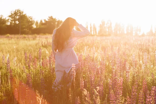 Ragazza tenera in elegante abito estivo con bei capelli lunghi passeggiando nel campo con fiori al tramonto — Foto Stock