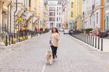 Kadın bir yürüyüşe husky köpek ile güneşli sonbahar günü eski Avrupa şehri sokak. Yatay görünüm