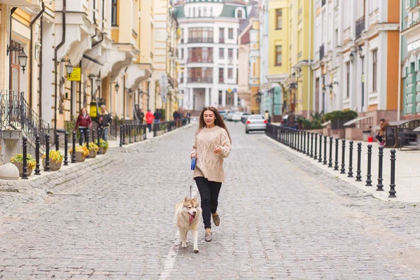 Kadın bir yürüyüşe husky köpek ile güneşli sonbahar günü eski Avrupa şehri sokak. Yatay görünüm