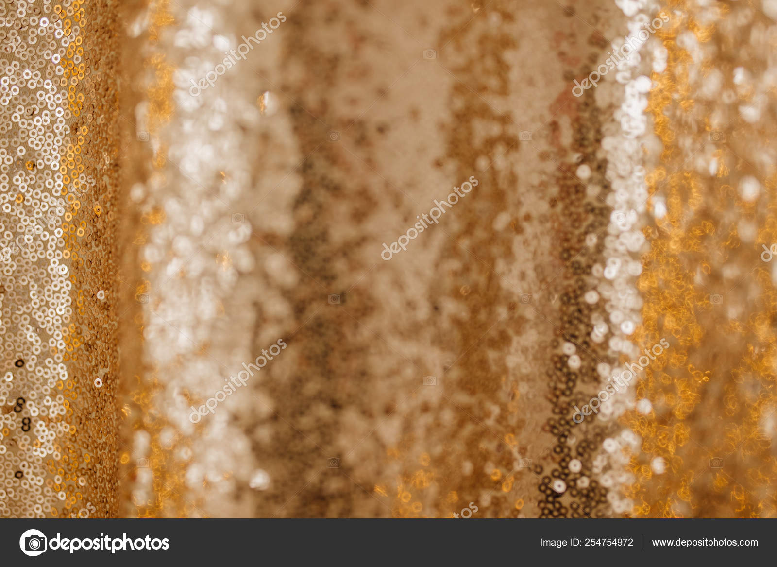 SCARICA ZECCHINO D ORO