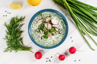 Yaz Soğuk Yoğurt Çorbası Okroshka Bowl Düz Lay