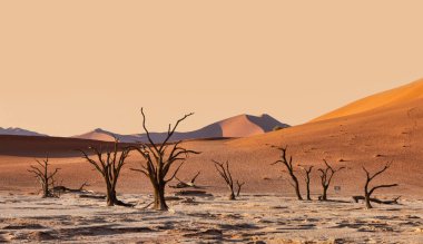güzel bir akşam renkleri Namib Çölü'nde gizli ölü Vlei manzara mavi gökyüzü, Namibya ile Vadisi'nde ölü akasya ağaçları