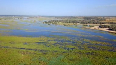Okavango delta nehir Namibya ve Angola sınırında