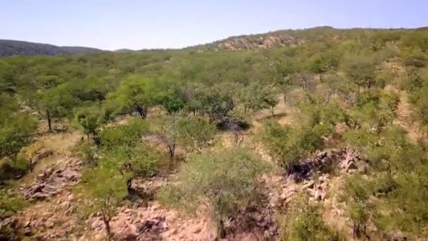 Volar sobre el norte de Namibia paisaje — Vídeos de Stock