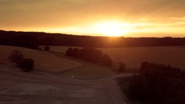 Flygfoto Över Kväll Golden Vetefält Europa Landsbygd Solnedgången Sommarlandskap Odling — Stockvideo