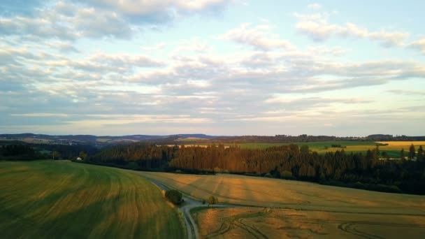 Luftaufnahme Des Goldenen Weizenfeldes Ländlichen Raum Europas Mit Landstraße Sommerlandschaft — Stockvideo