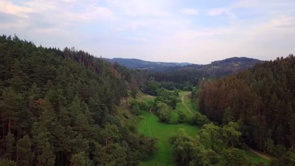 Pięknej Okolicy Anteny Zimowy Krajobraz Łąka Latające Nad Wiejskiej Drodze — Wideo stockowe