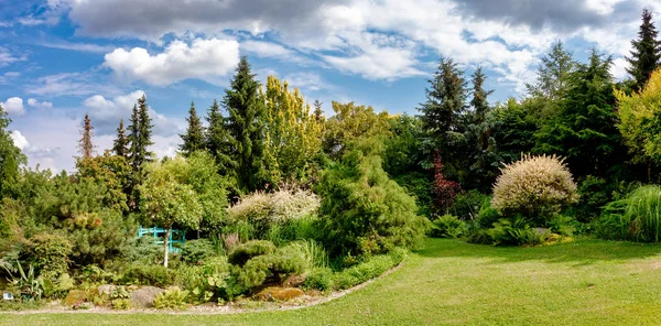 Mooie Gekleurde Zomertuin Met Conifer Bomen Gras Avondzon Tuinieren Concept — Stockfoto