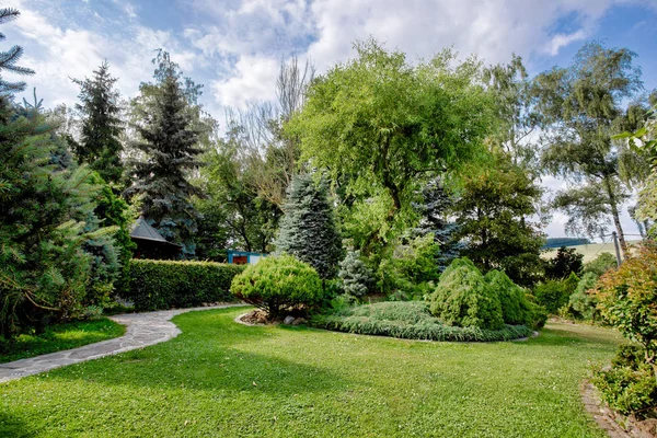 Mooie Gekleurde Zomertuin Met Conifer Bomen Gras Avondzon Tuinieren Concept — Stockfoto