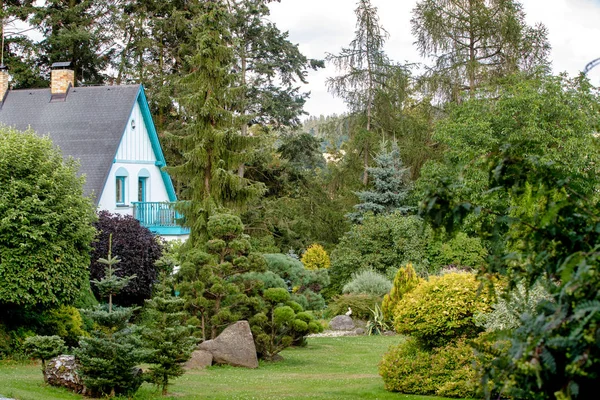 Bela Casa Rural Situada Jardim Verão Com Coníferas Árvores Flores — Fotografia de Stock