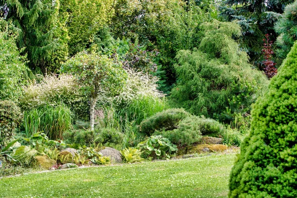 美丽的夏日花园 有针叶树 青草和黄昏的阳光 园艺概念与蓝天 — 图库照片