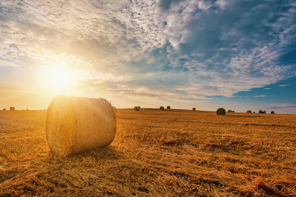 Campo Colhido Verão Com Fardos Palha Pôr Sol Noite Conceito — Fotografia de Stock