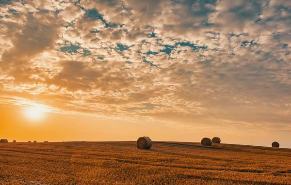 夏収穫わら俵夕方日没 農業概念 チェコ共和国のフィールド — ストック写真