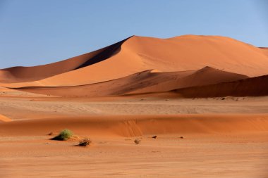 güzel gün doğumu manzarası, Namib çölünde saklı Ölü Vlei, güneşli, Namibya, Afrika 'nın vahşi doğası